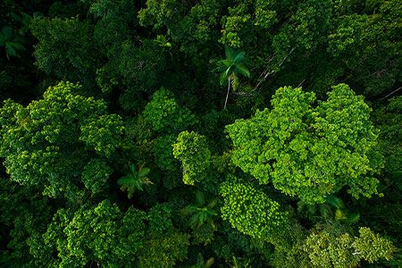 Mining without emissions: The future of decarbonised operations in the coal industry