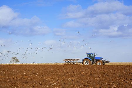 Farmer takes legal action to block new Bulgarian coal mine