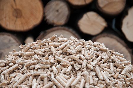 Mitsubishi Corp. participates in a biomass power project