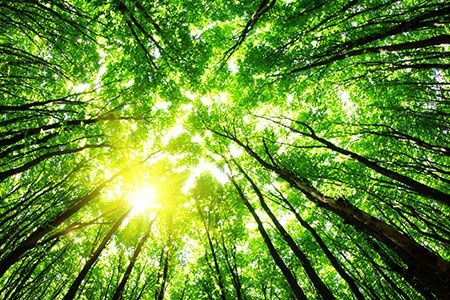 MCA confirms 2050 ambition of net zero emissions