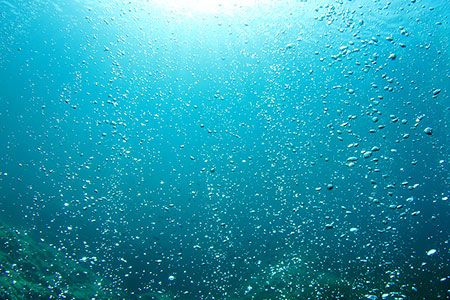 Pumped hydro project study announced at Mt Arthur Coal